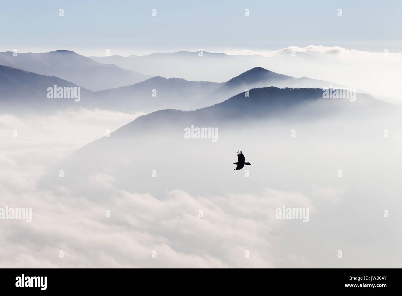 Silhouettes of mountains in the mist and bird flying Stock Photo