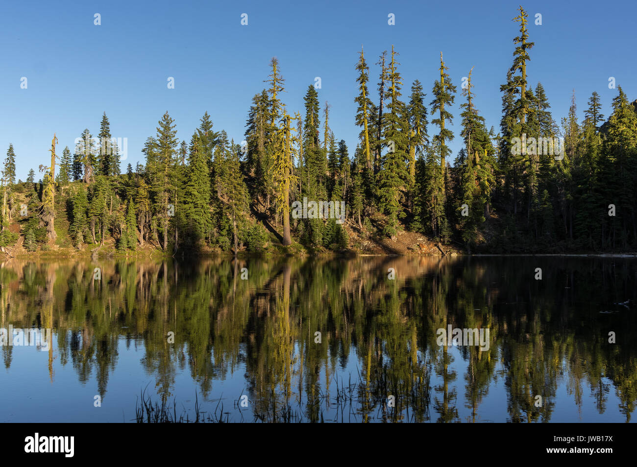 A view of Lake Helen on a summer night Stock Photo Alamy