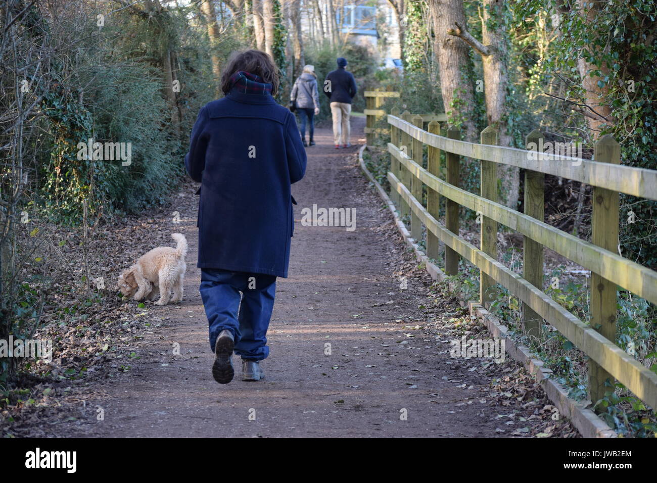 Older man walking dog in forest hi-res stock photography and images - Alamy