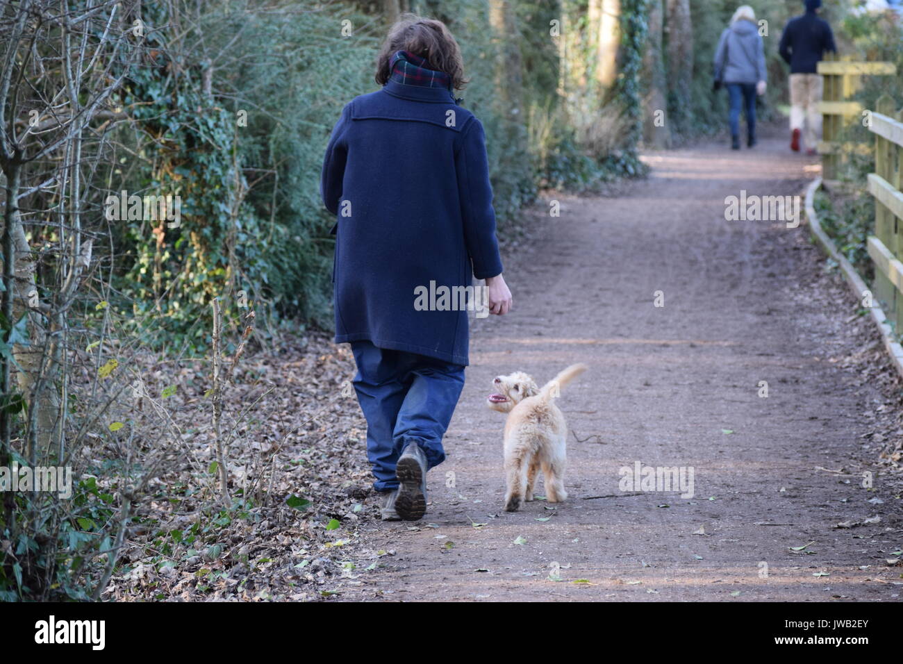 Older man walking dog in forest hi-res stock photography and images - Alamy