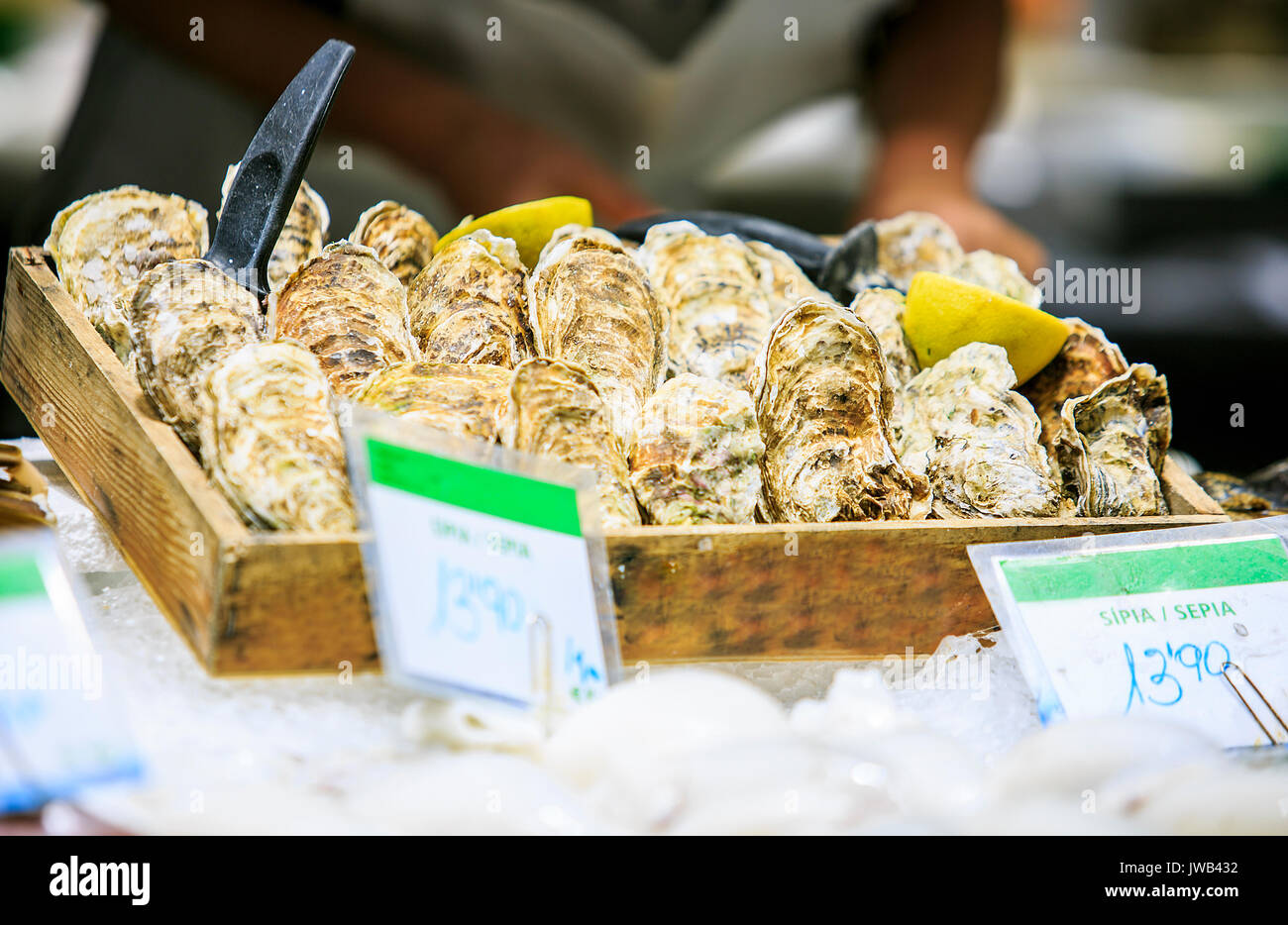 Fresh oysters in a food market of Barcelona Stock Photo Alamy