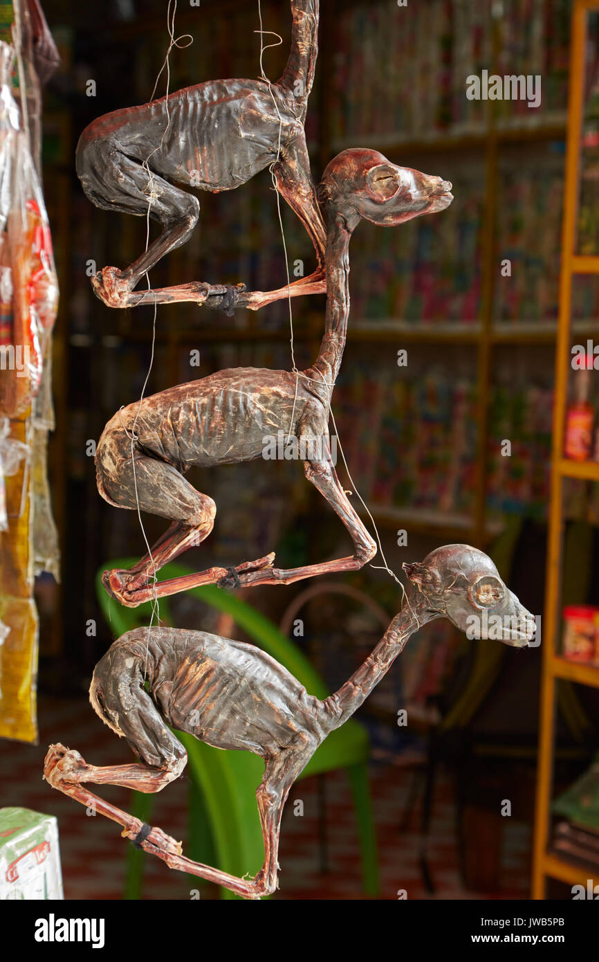 Llama fetuses for sale at Witches Market, La Paz, Bolivia, South America Stock Photo