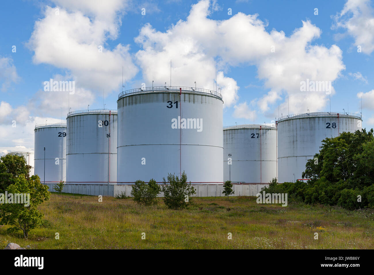 Silver oil tanks on the green grass field. Blue sky with clouds. Stock Photo