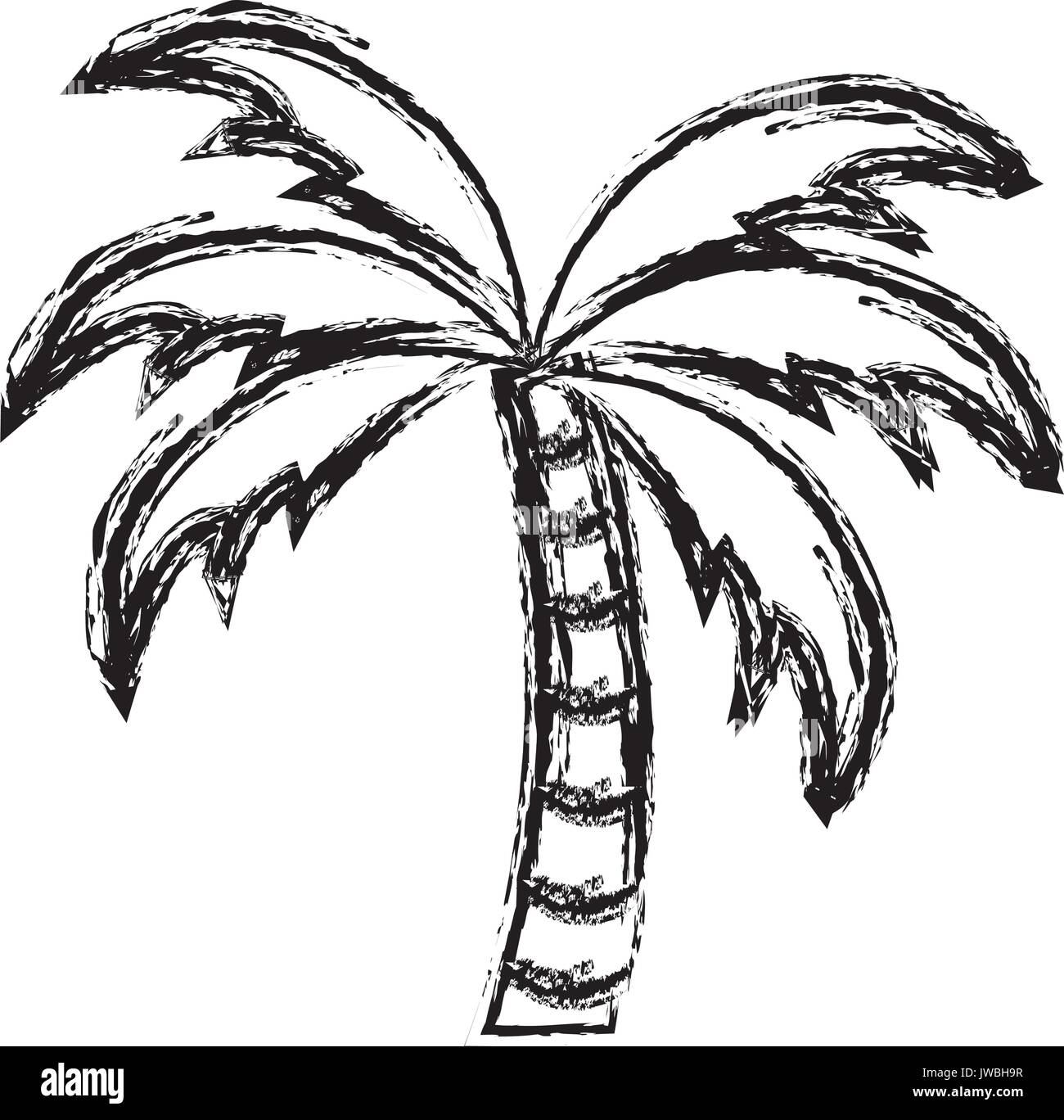 tropical palm icon Stock Vector Image & Art - Alamy