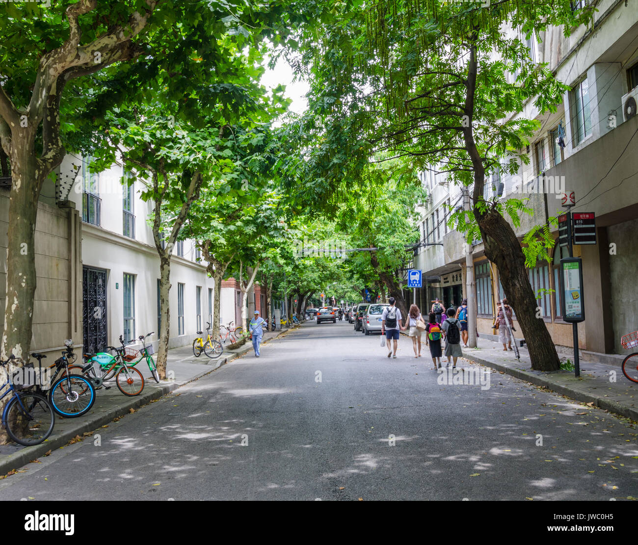 A tree lined street in The French Concession in Shanghai, China Stock Photo