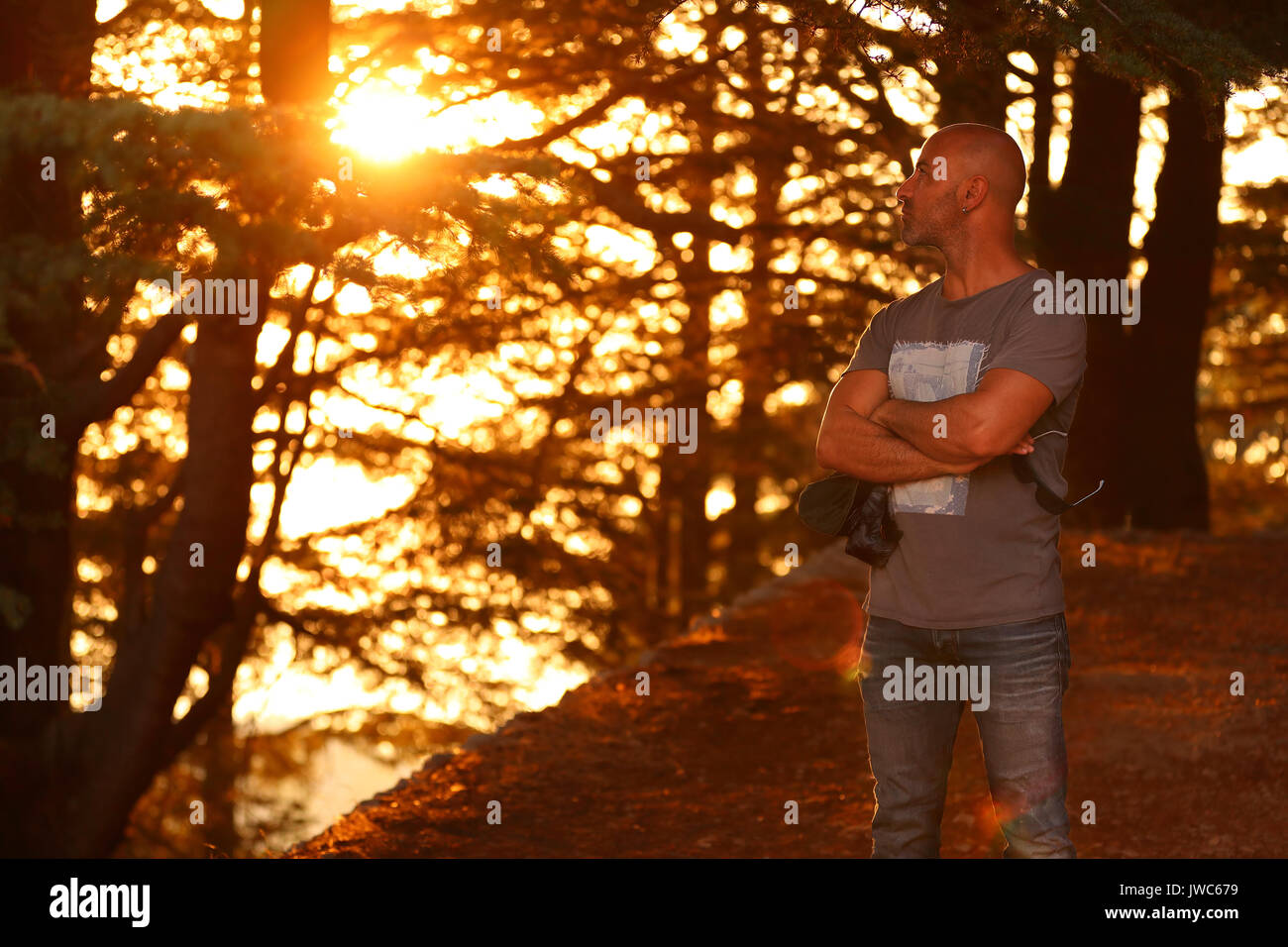 Man in the forest looking at beautiful bright sunset, traveler enjoying beauty of nature, camping among pine trees, active summer time Stock Photo