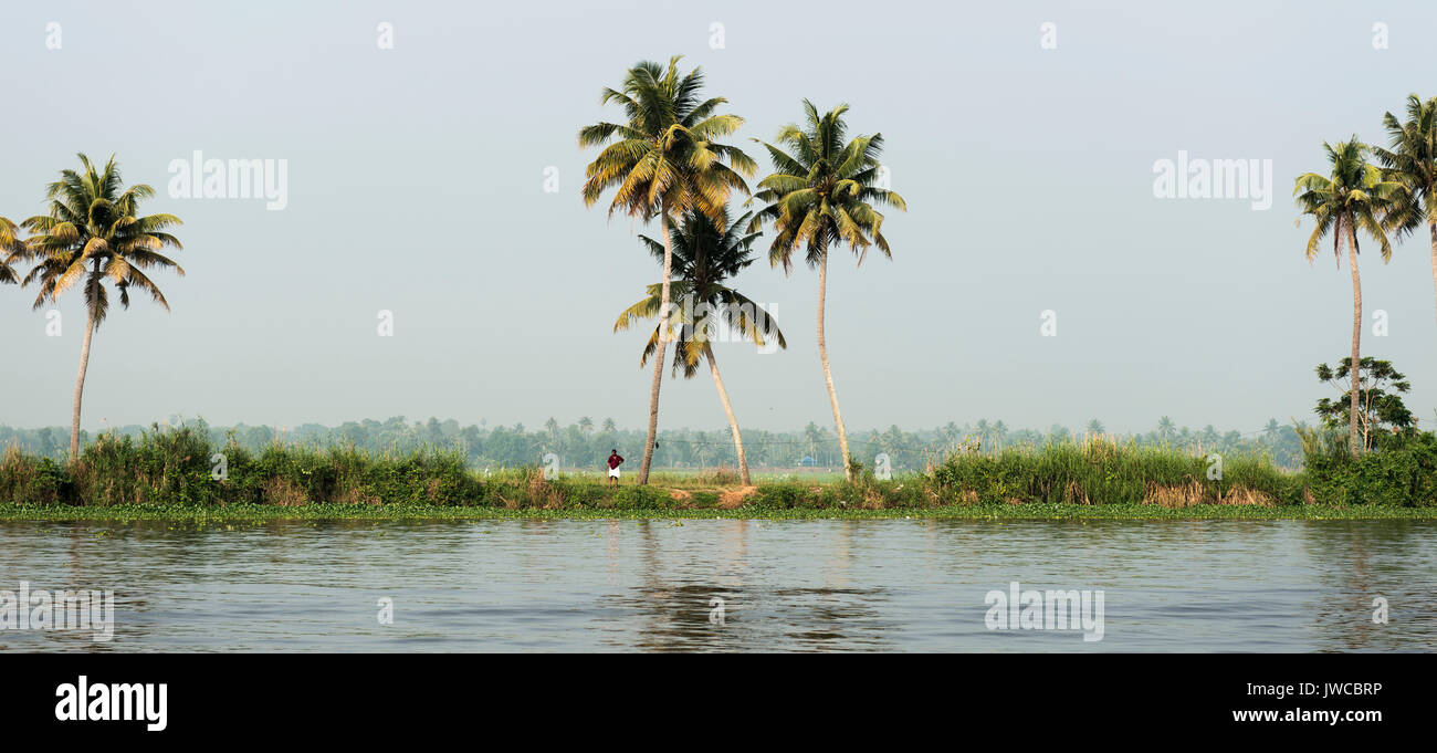In the Backwaters near Alappuzha, Malabar Coast, Kerala, India Stock Photo