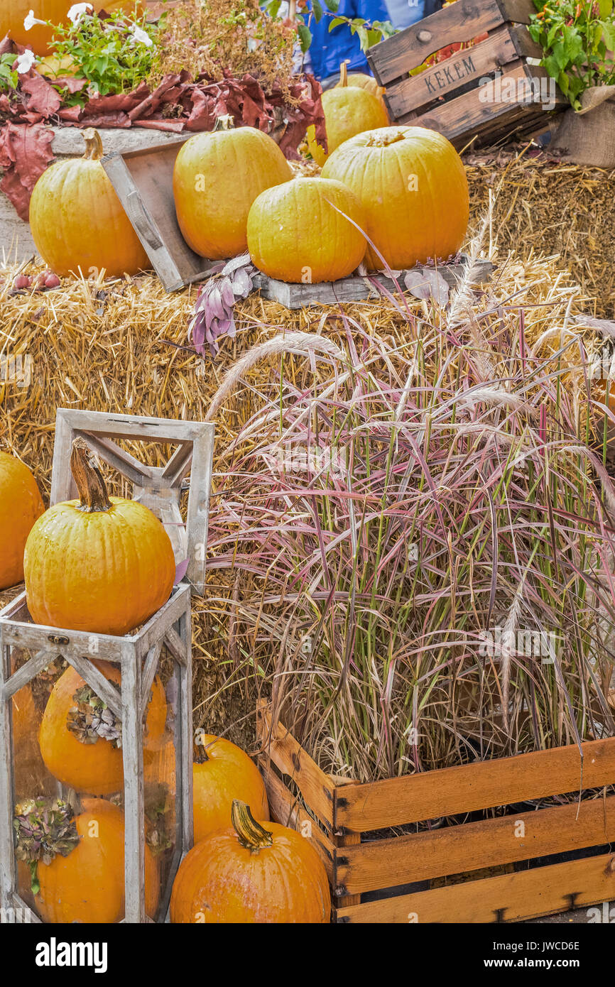 Harvest festival display hi-res stock photography and images - Alamy