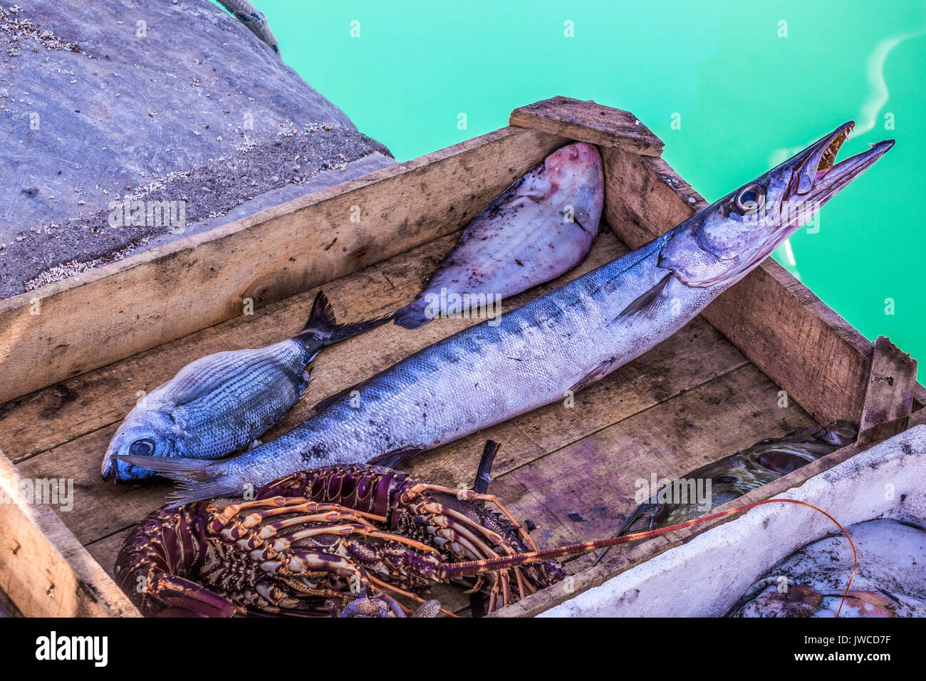 FishFor Sale In The harbour Zakinthos Greece Stock Photo