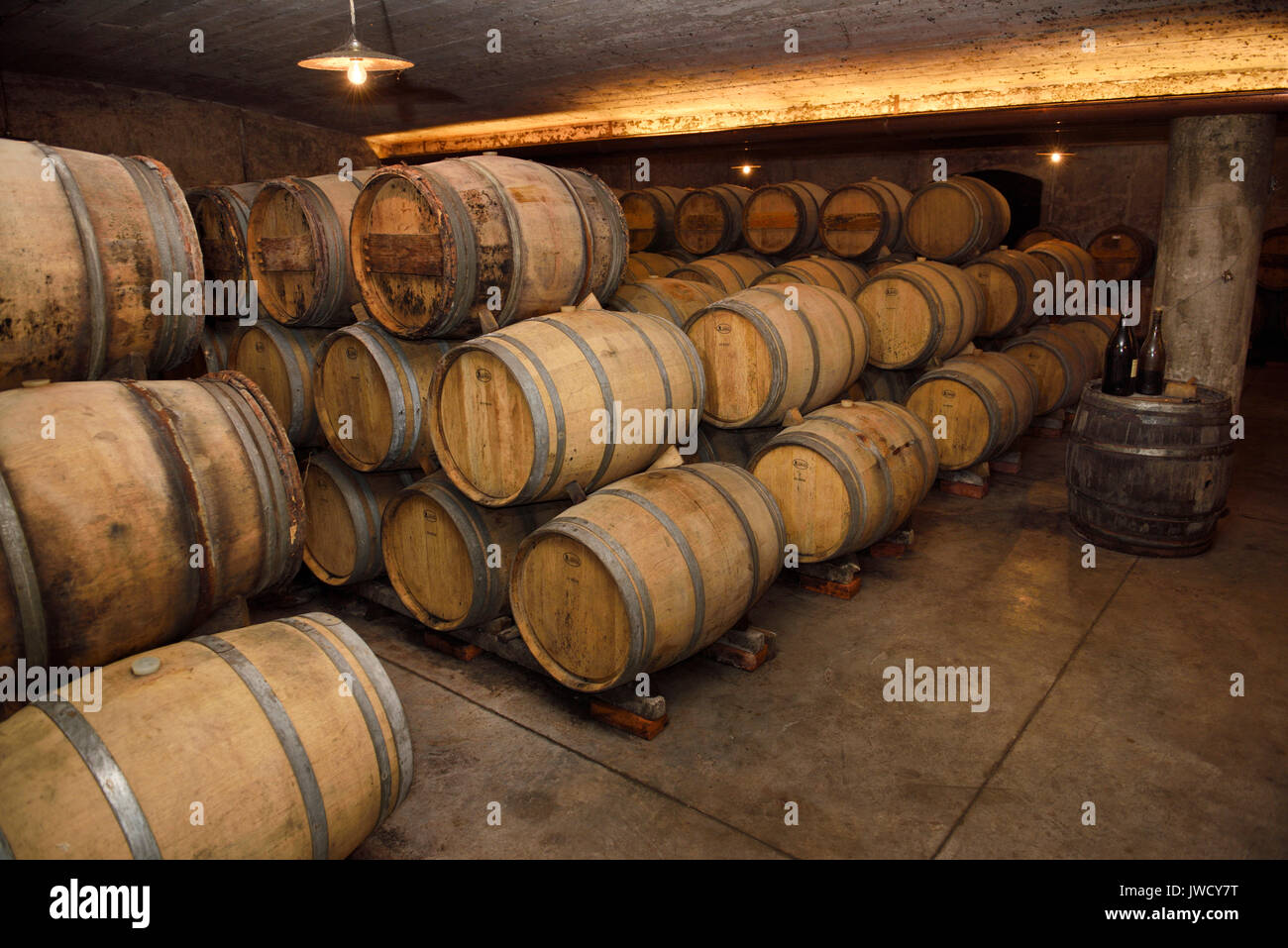 Constant humidity temperature underground arched cellar with French