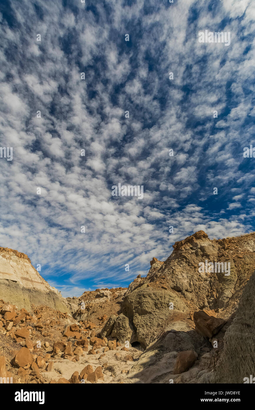 Layers of lignite and ash and hard rocks in the Bisti/De-Na-Zin ...