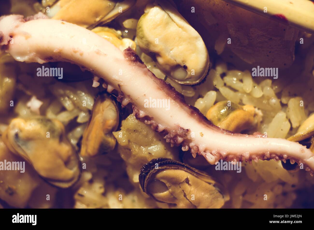 Squid Eating Stock Photos & Squid Eating Stock Images - Alamy