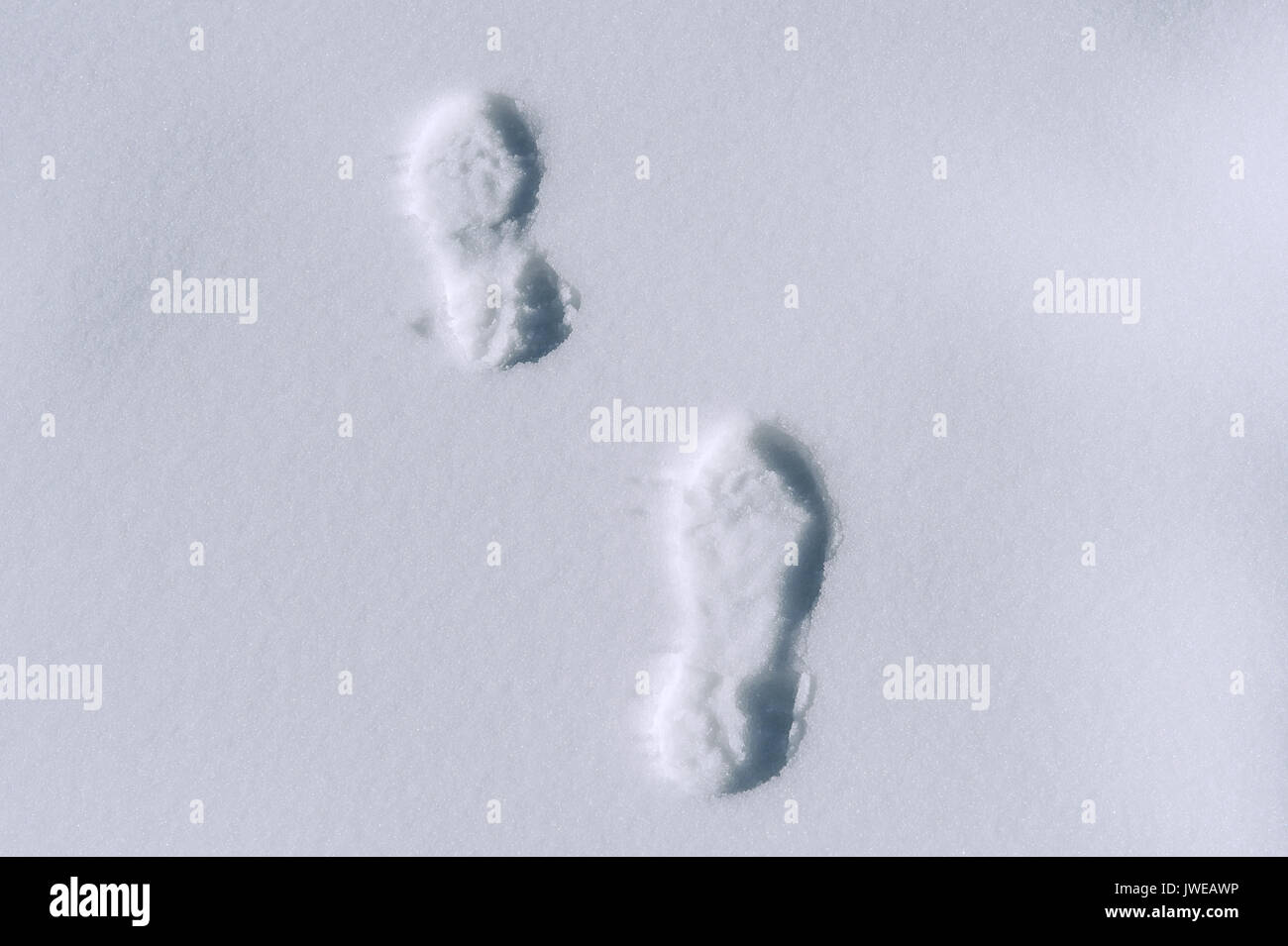 Footprints in snow Stock Photo Alamy