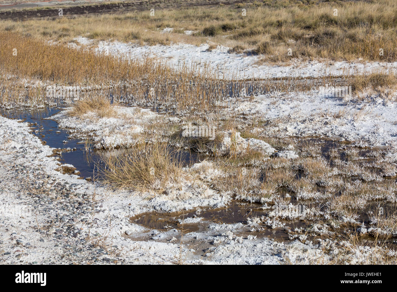 Alkali Soil Stock Photos & Alkali Soil Stock Images Alamy