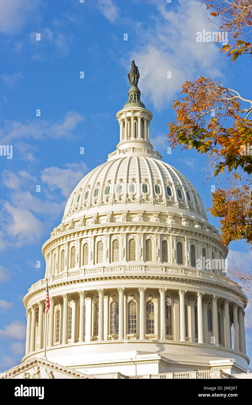 The dome of US Capitol building and colorful autumn tree foliage