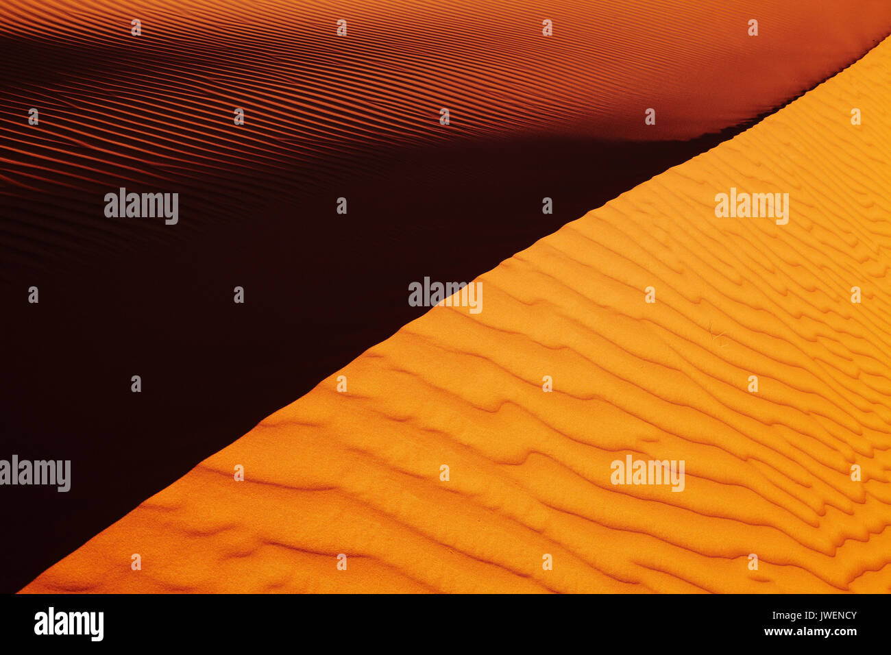Sand dune at sunset in Sahara Desert, Algeria Stock Photo - Alamy