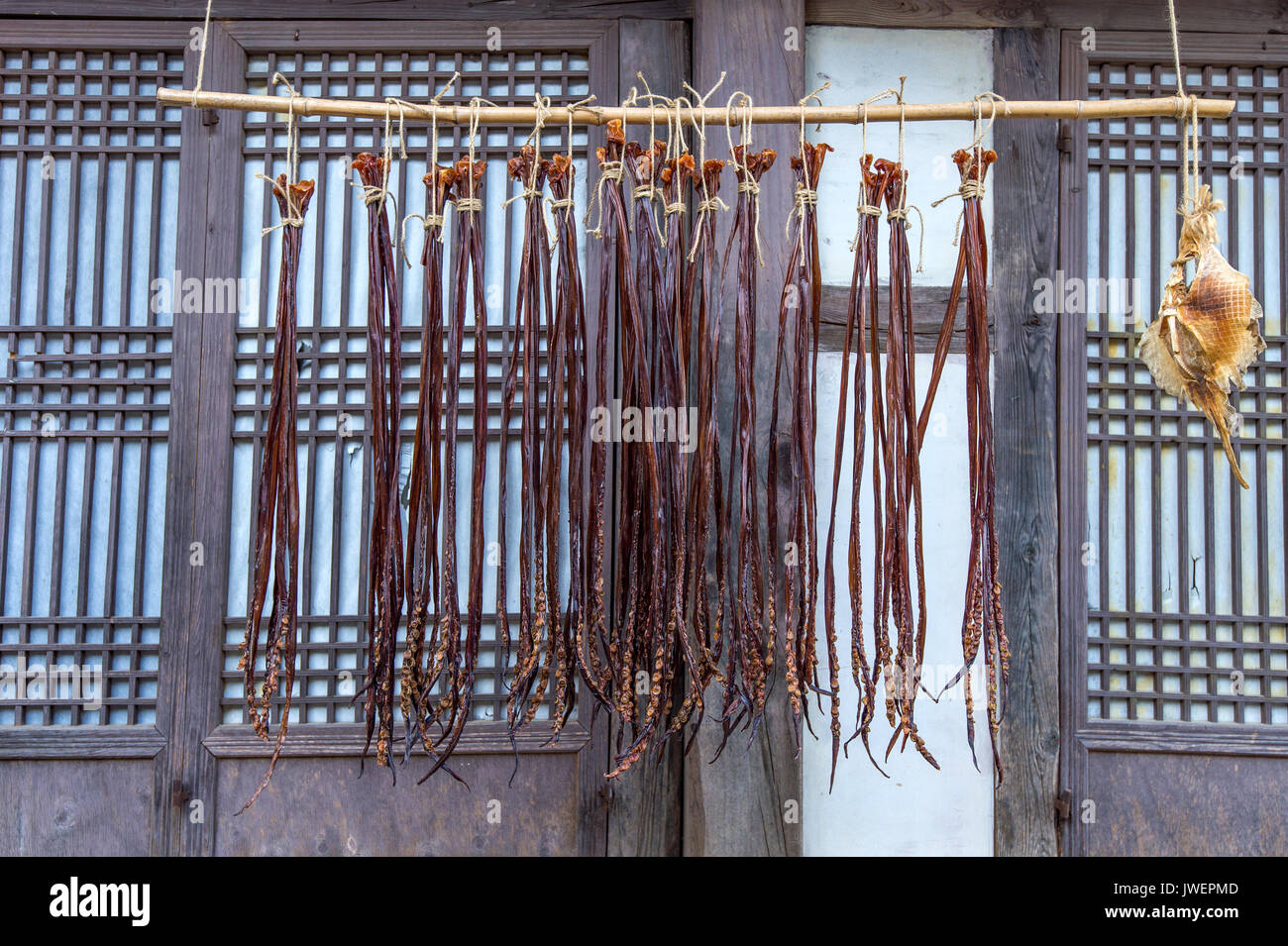 Dried fish at Dae Jang Geum Park or Korean Historical Drama in South Korea. Stock Photo