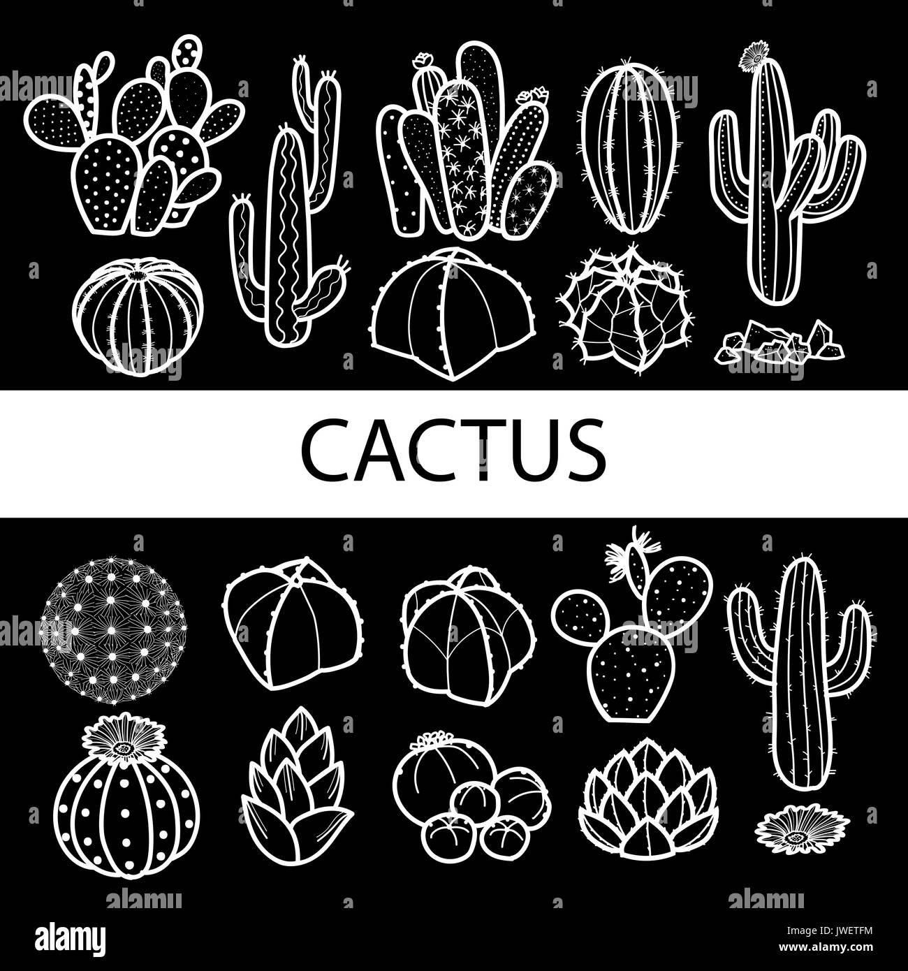 Set of isolated cactus and succulents in white outline & black plane ...