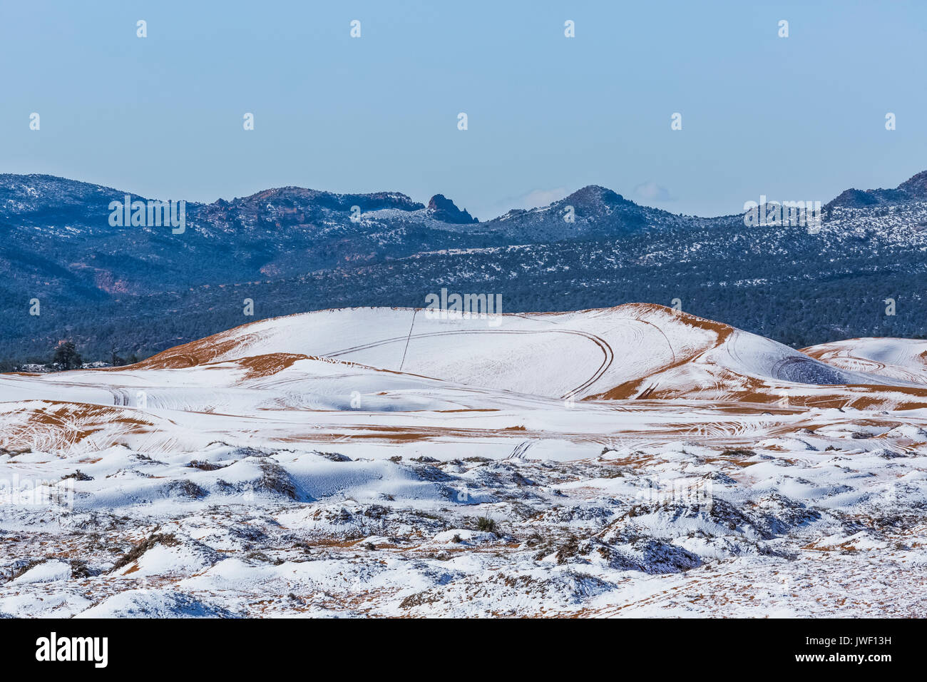 Dune landscape after a spring snowfall, with ATV tracks, in Coral Pink