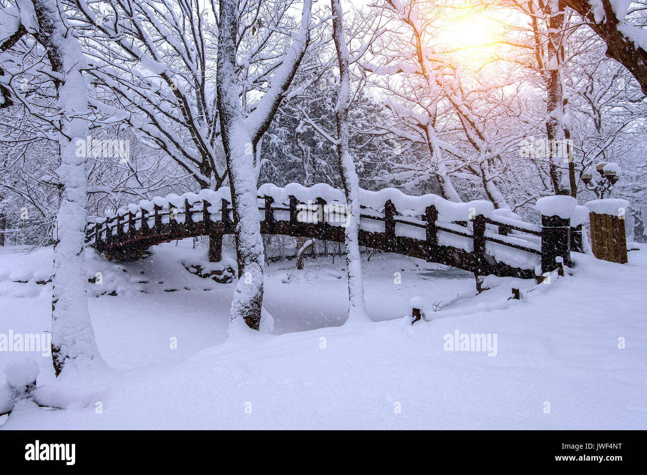 Snow falling in park and a walking bridge in winter, Winter landscape ...