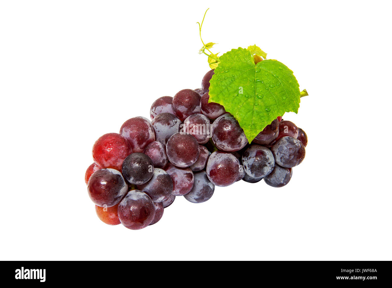 Grapes isolated on white background. Stock Photo