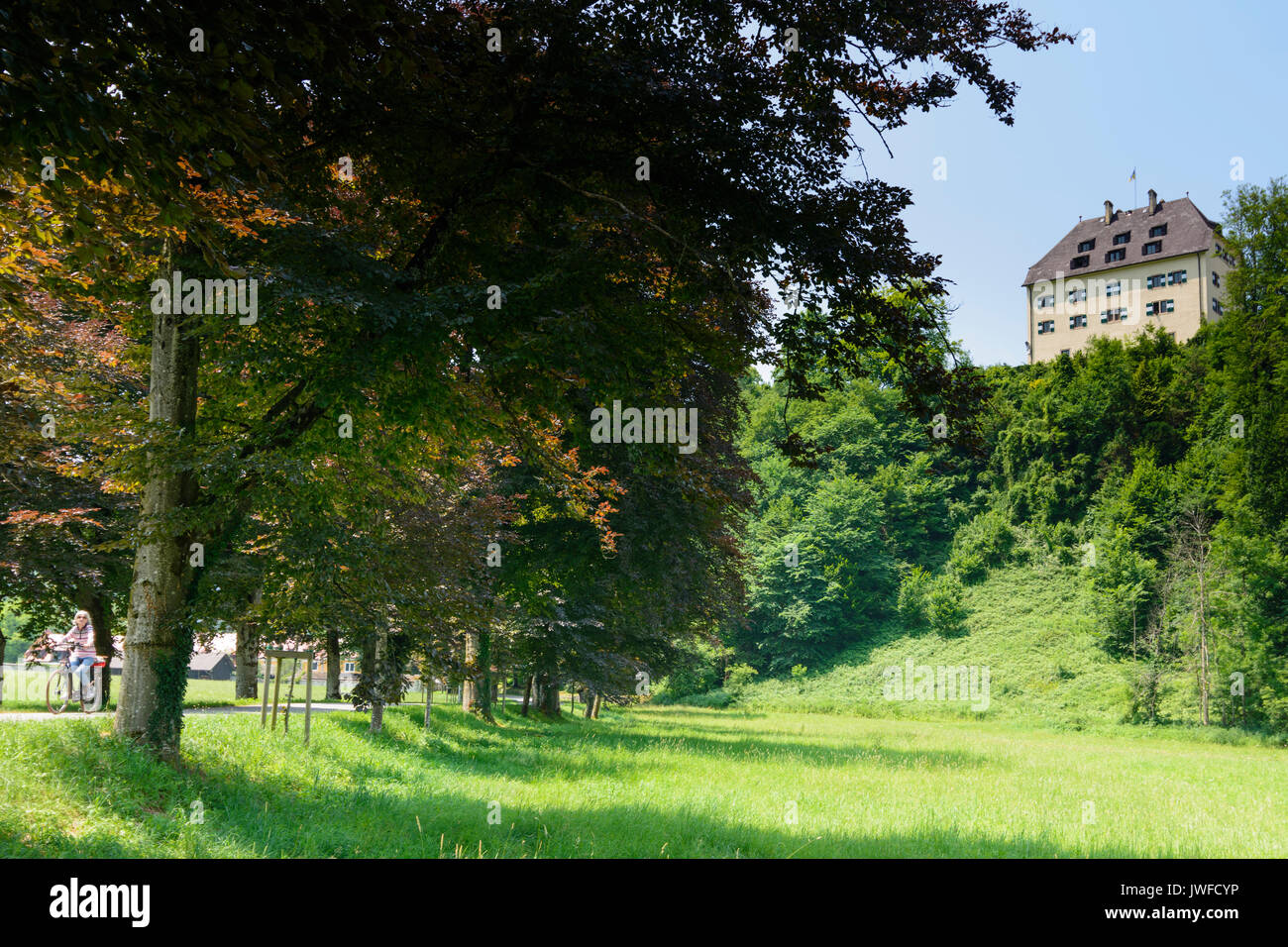 castle Schloss Glanegg, Grödig, Flachgau, Salzburg, Austria Stock Photo