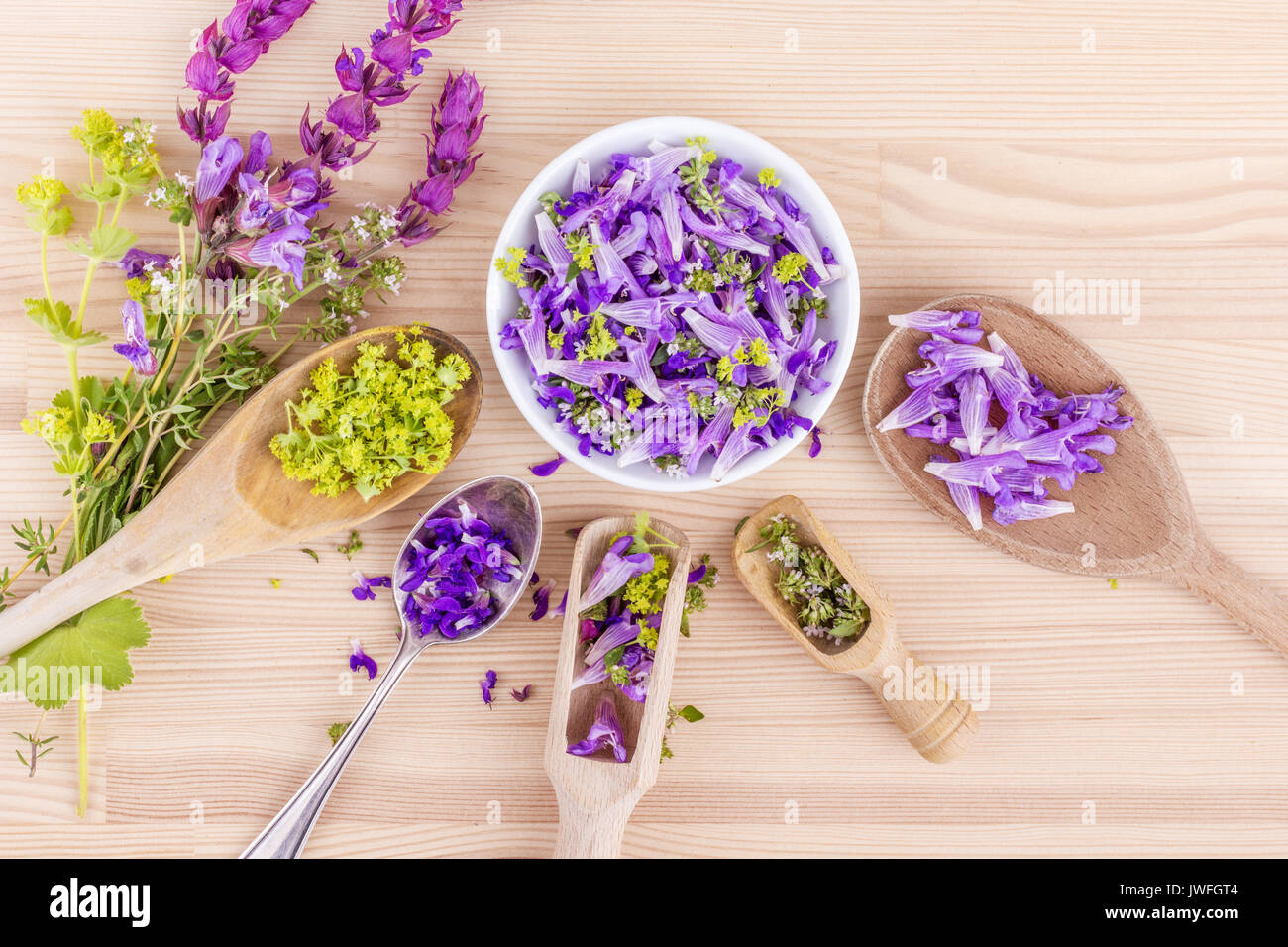 flowers of lavender, thyme and lady's mantle Stock Photo