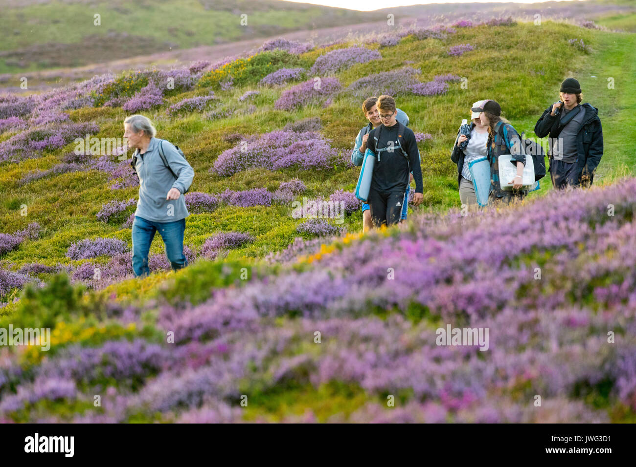 Archaeologists from Liverpool’s Archaeology Field School leaving the dig at Penycloddiau Hillfort the largest iron age hillfort in Wales Stock Photo