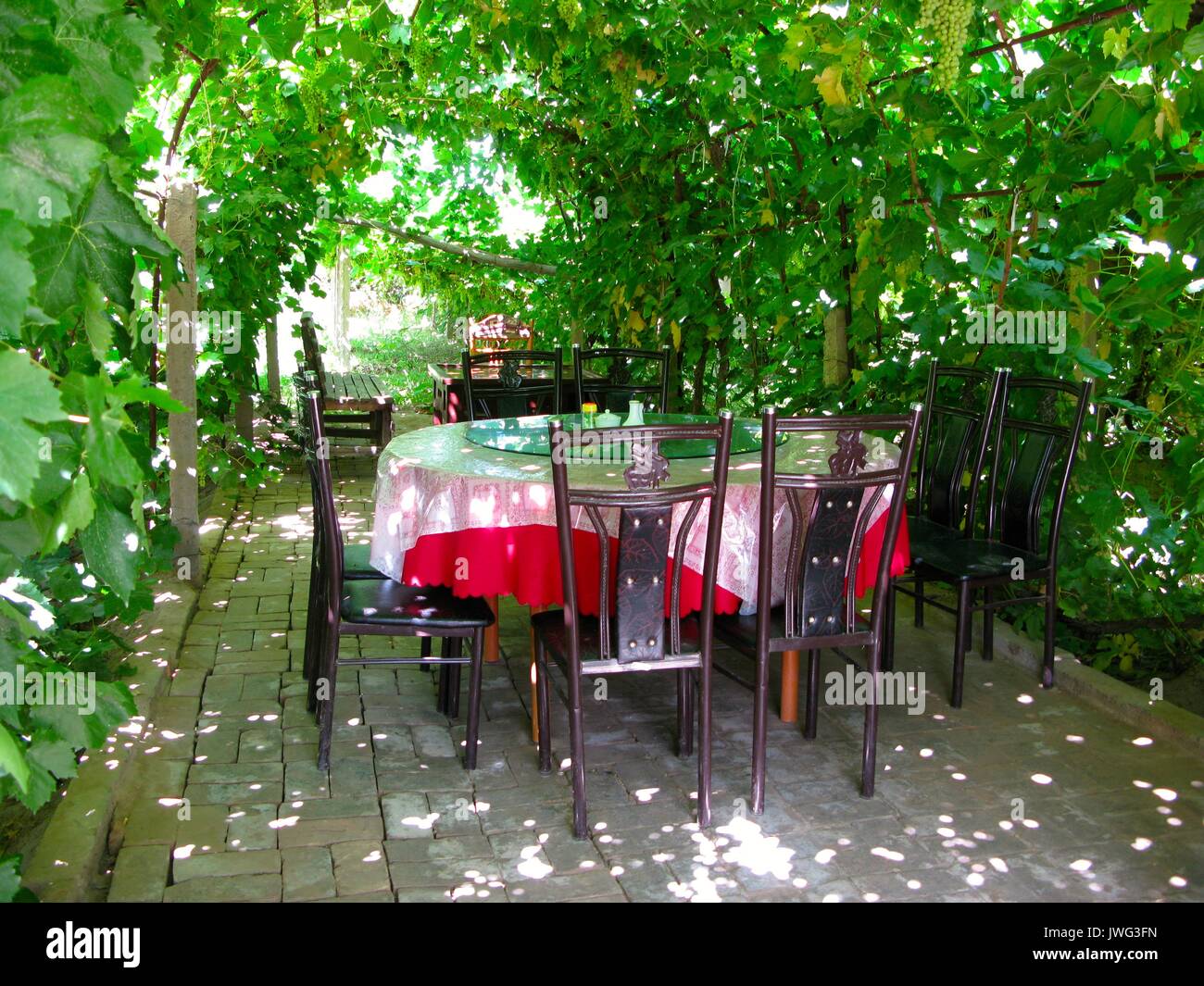 Grape vines provided a natural shaded area for lunch on the way to the Yumenguan Pass Stock Photo