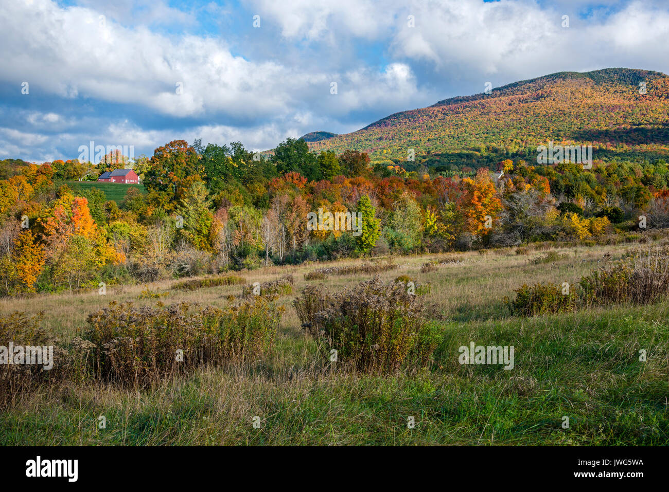 Colorful fall scene with brilliant foliage of a mountain landscape in Manchester, Vermont. Stock Photo