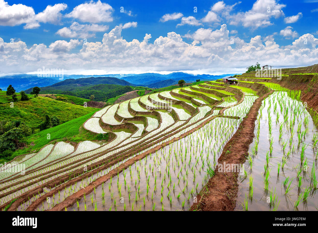 terraced rice field: japanese rice terraces map – QNPH