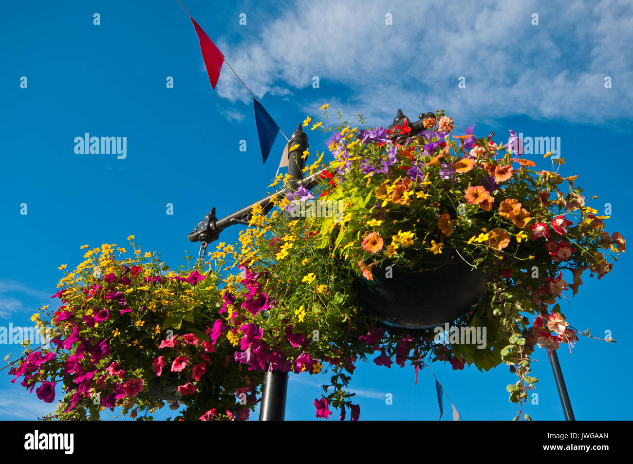 Colourful Hanging Baskets On Street Lamp posts Royal Wootton Bassett