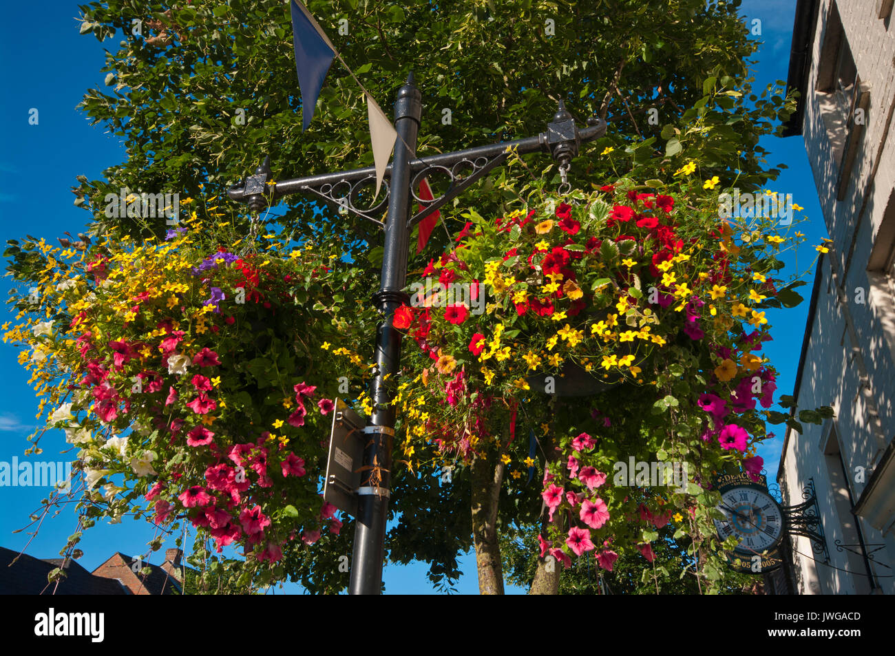 Colourful Hanging Baskets On Street Lamp posts Royal Wootton Bassett Wiltshire England UK Stock Photo