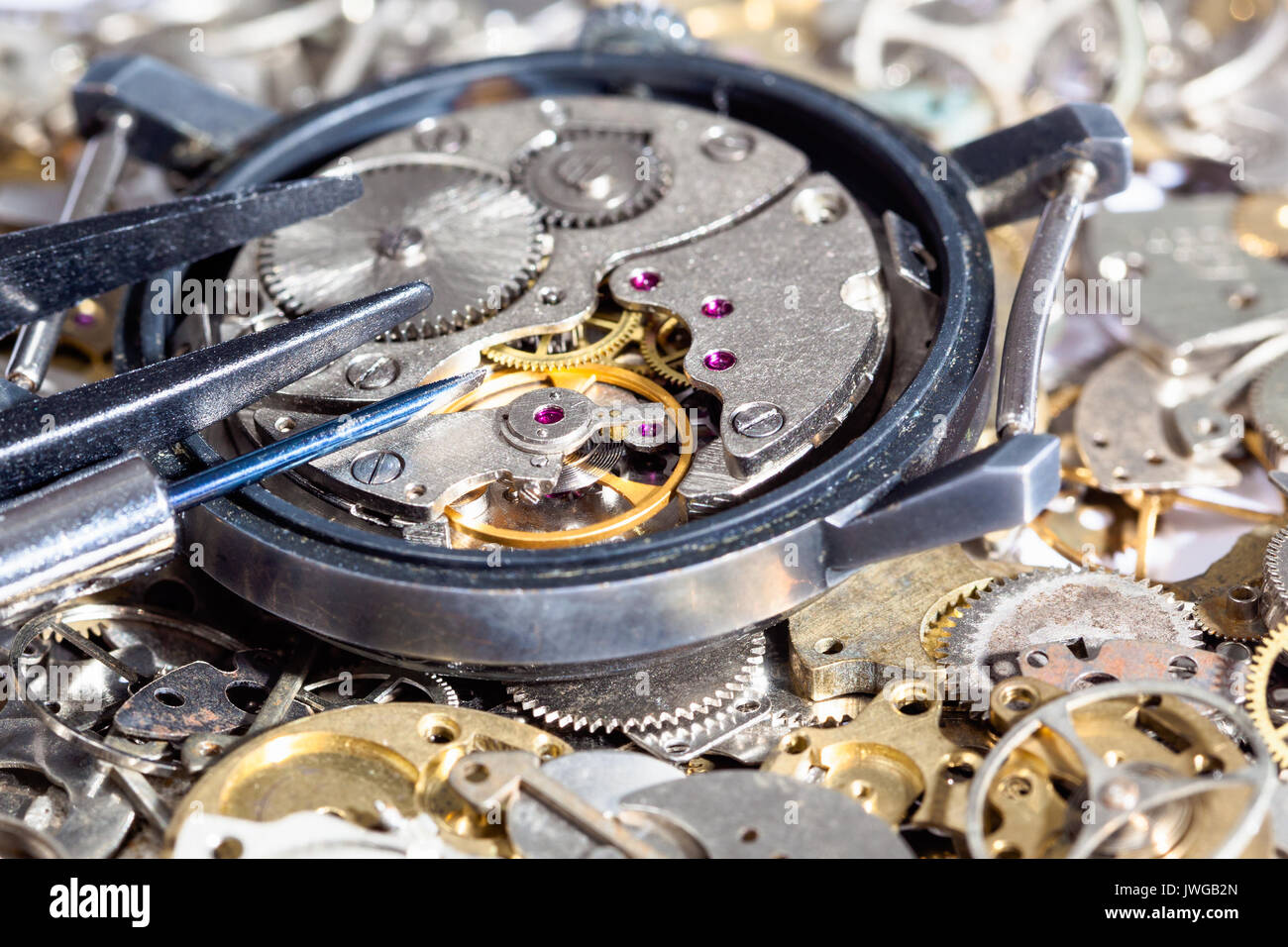 watchmaker screwdriver and tweezers on open watch on clock spare parts close up Stock