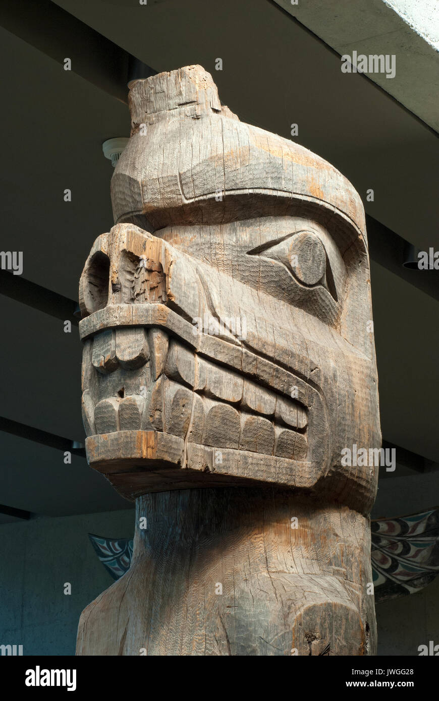 Detail of grizzly bear sculpture carved by Kwakwaka'wakw artist Awalaskanis, Museum of Anthropology, Vancouver, British Columbia, Canada Stock Photo
