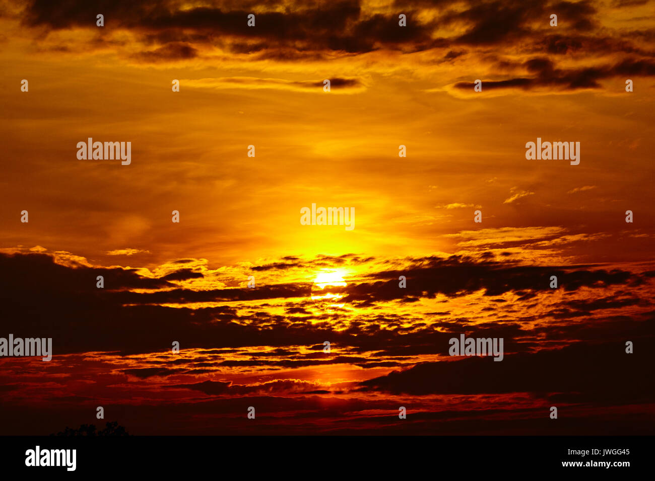 colorful dramatic sky with cloud at sunset. Golden sky background Stock ...