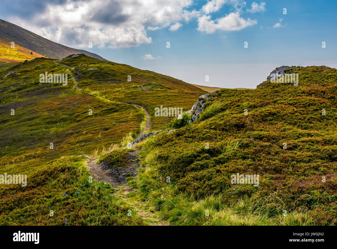 tourists curve path up the hill to the top. beautiful grassy mountain meadows with rocks on humps Stock Photo