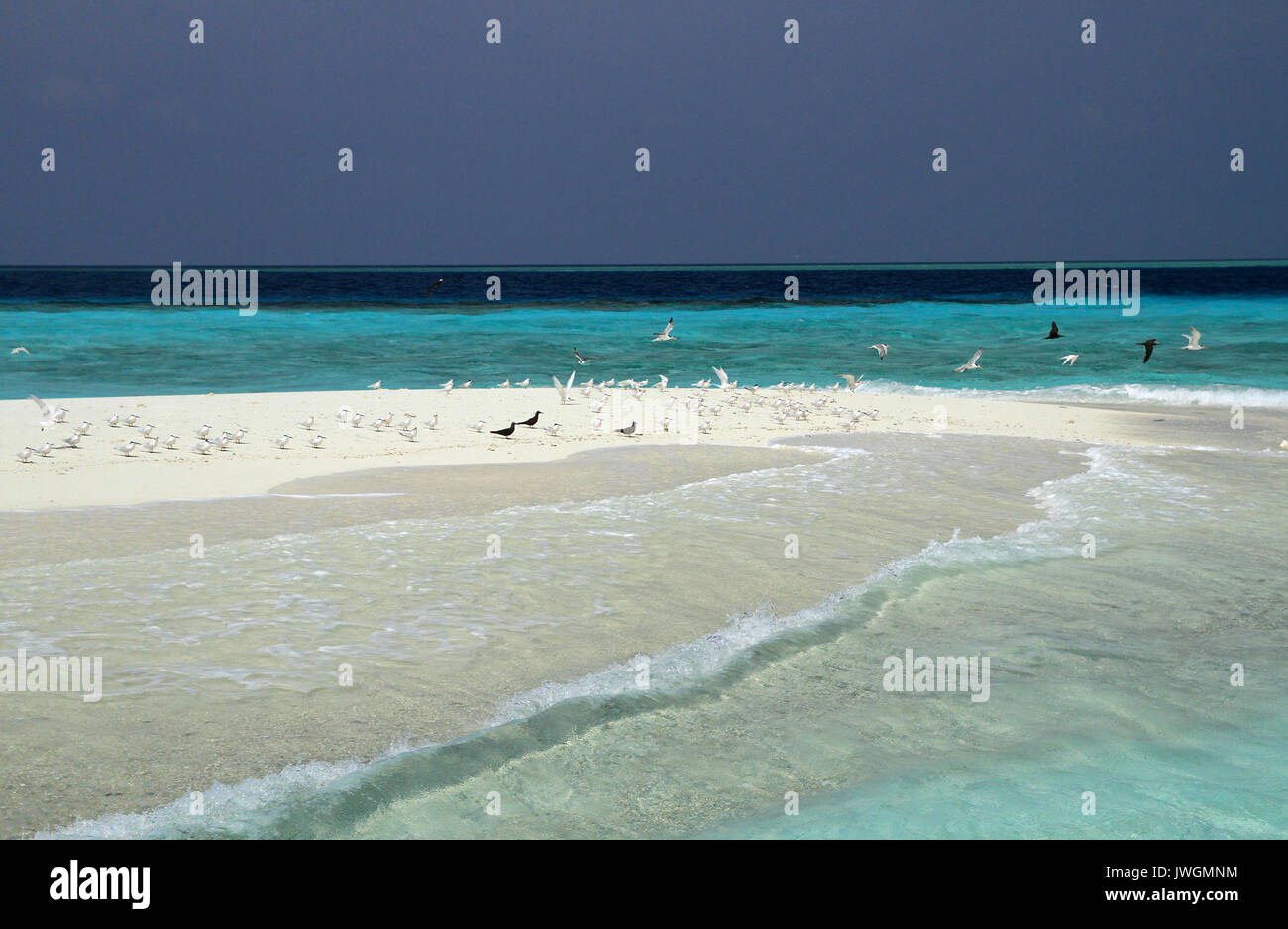 Maldivian Island, Ari Atol, Maldives Stock Photo