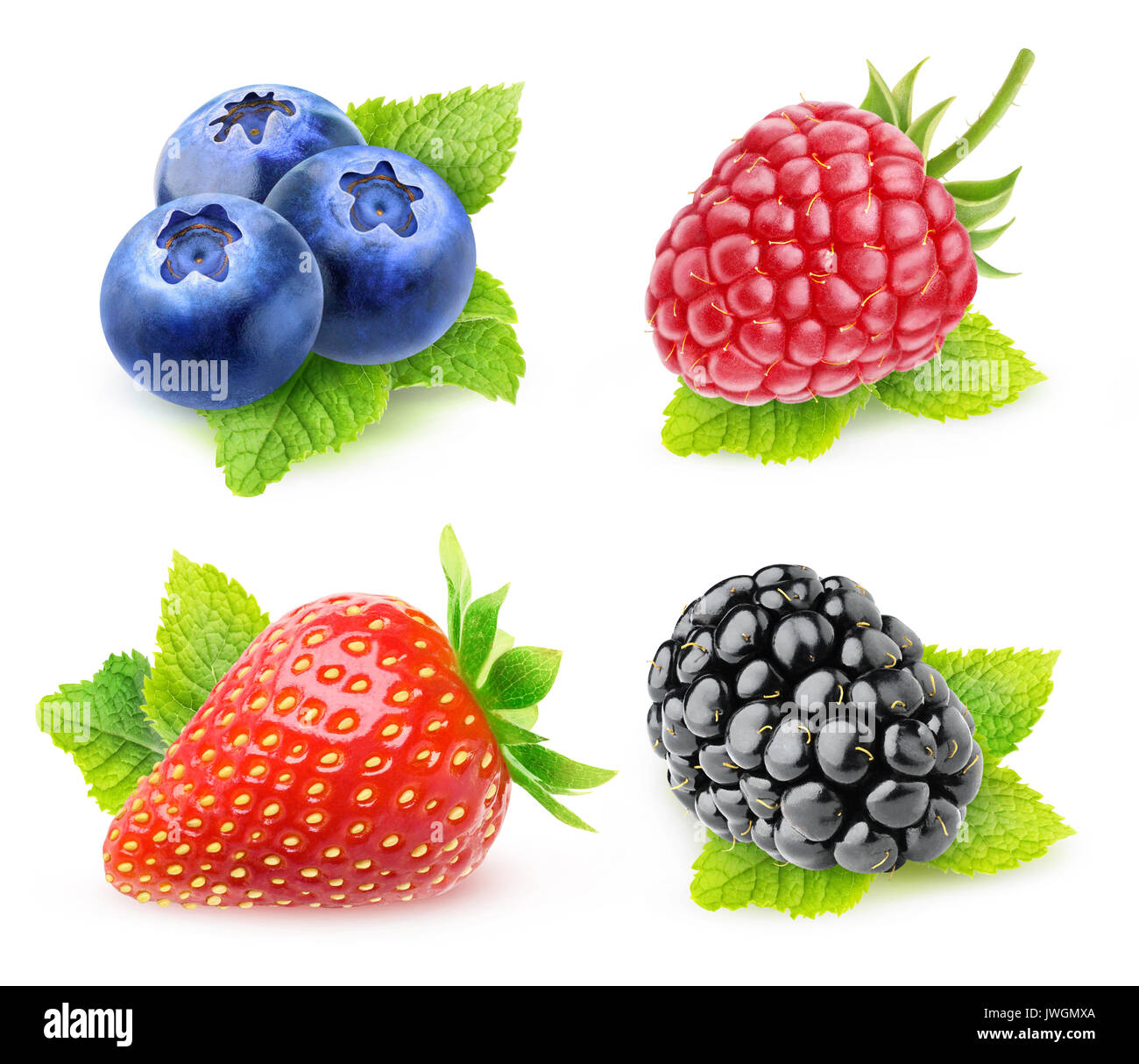Collection of isolated berries with mint. Blueberries, strawberry, raspberry and blackberry with mint leaf isolated on white background with clipping  Stock Photo