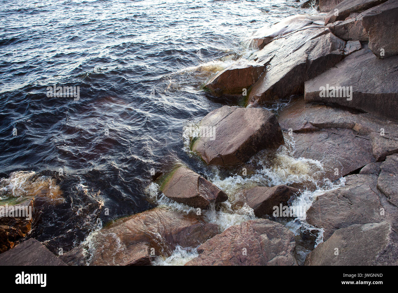 Sea fish on background stones hi-res stock photography and images - Alamy