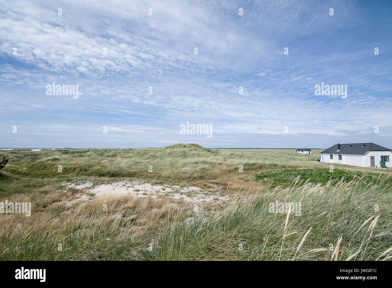 Landscape of Jutland, Denmark Stock Photo - Alamy