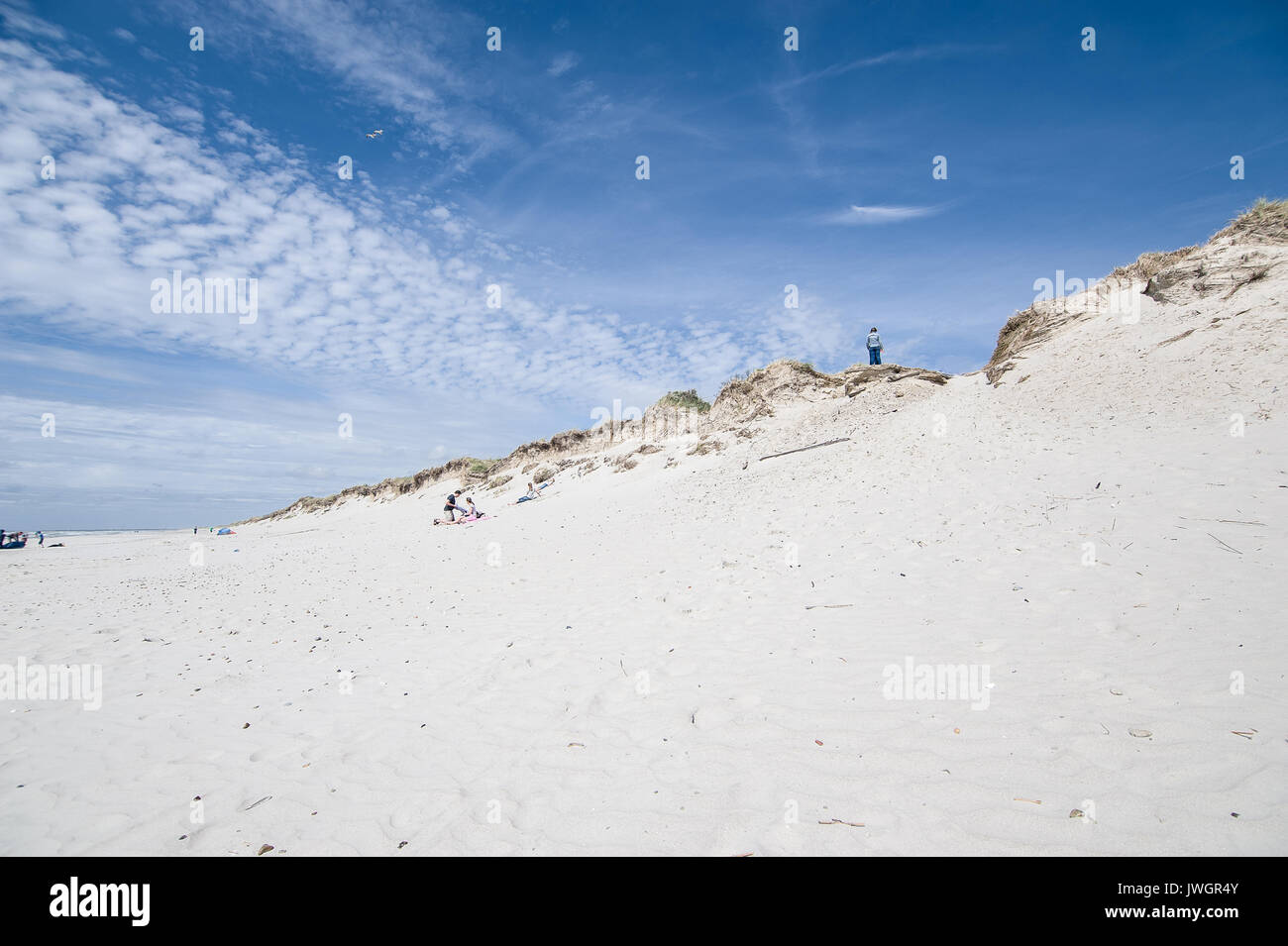 Skallingen Man on sand dunes in Skallingen, Esbjerg, Denmark Stock Photo - Alamy