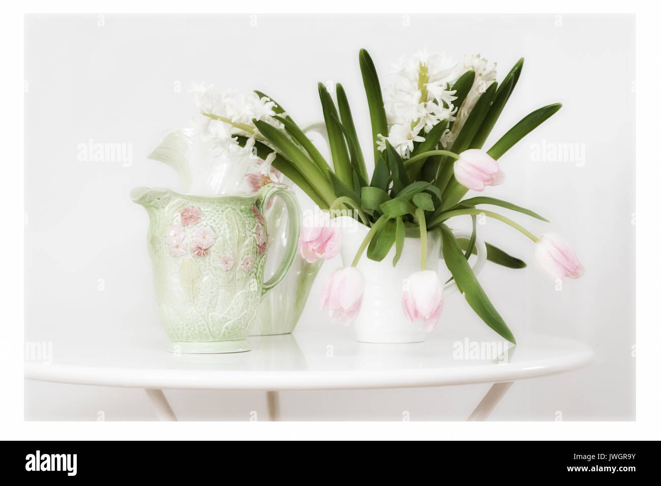 colour image of pale pink tulips Stock Photo