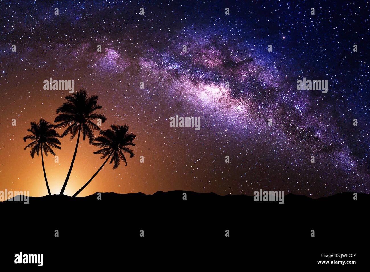 Milky way old tree hi-res stock photography and images - Alamy