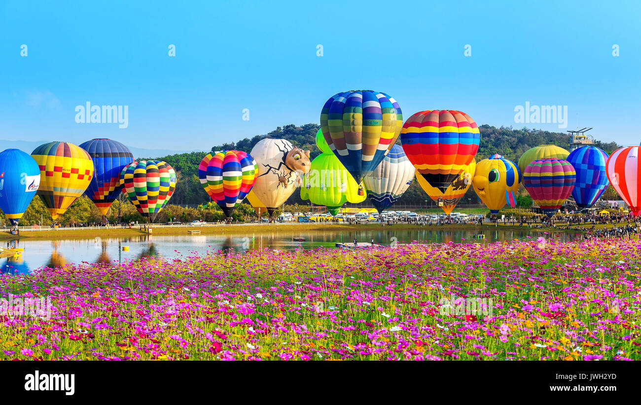 CHIANG RAI THAILAND FEBRUARY 16 Colorful Balloon At SINGHA PARK CHIANG RAI THAILAND FEBRUARY 16 Colorful Balloon At SINGHA PARK