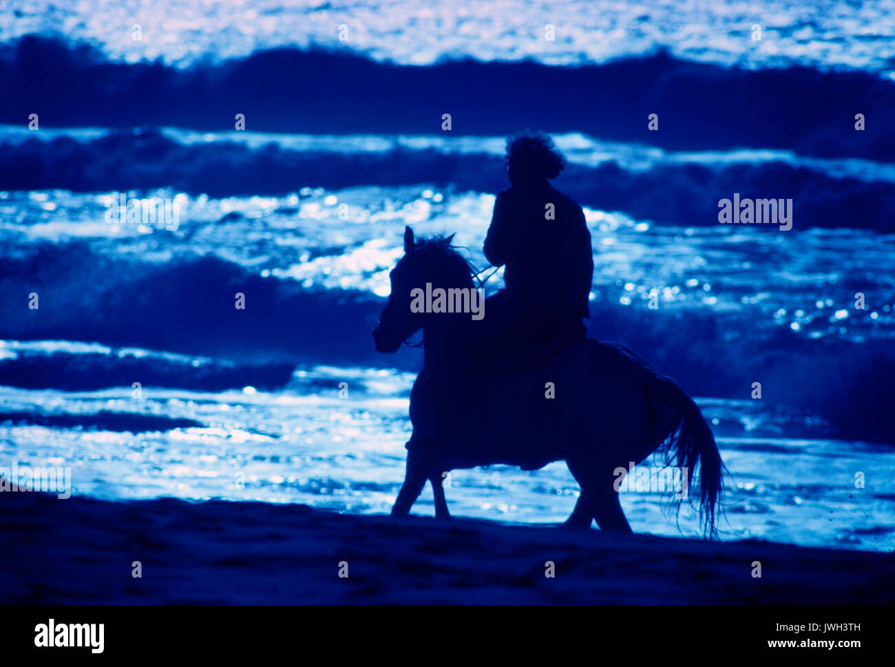 Horseback riding on the coast of California on the Pacific Ocean. Stock Photo