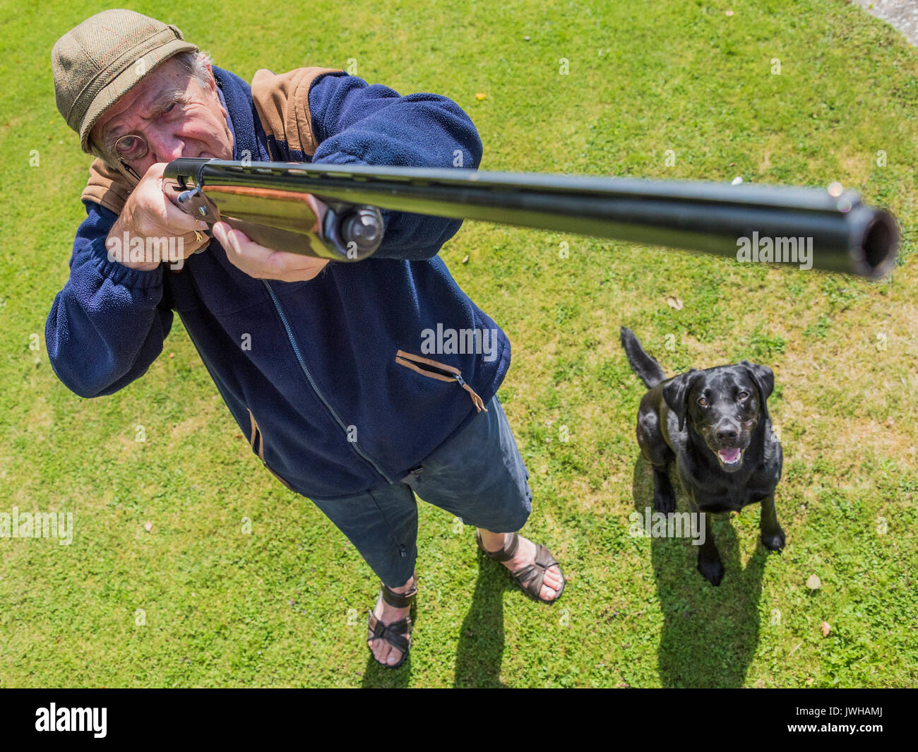 Sussex, UK. 12th Aug, 2017. The glorious 12th and Kevin celebrates his 88th birthday with gun and dog. Credit: Guy Bell/Alamy Live News Stock Photo