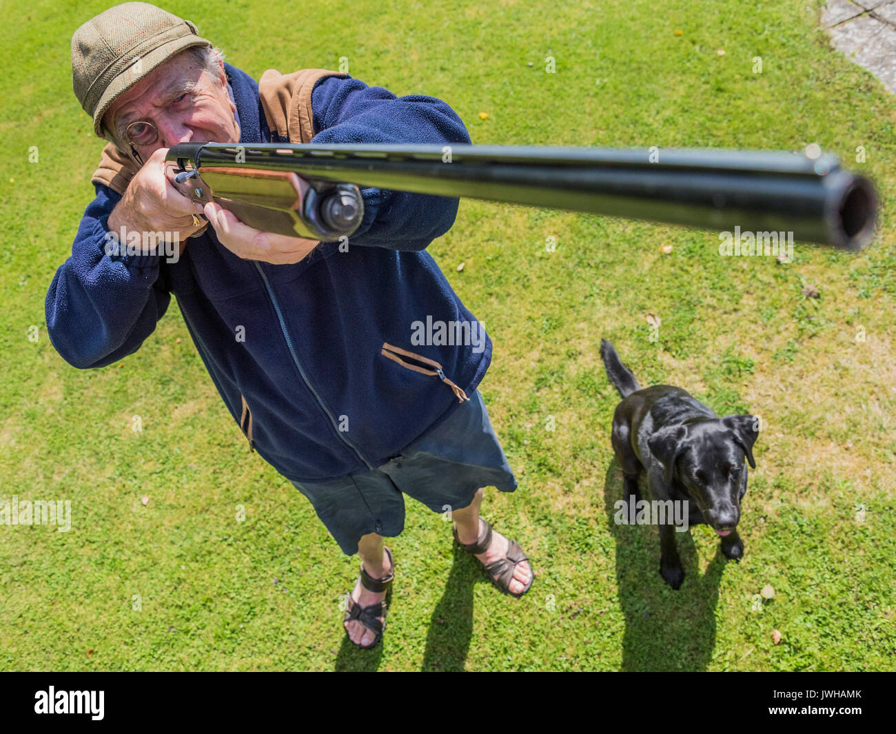 Sussex, UK. 12th Aug, 2017. The glorious 12th and Kevin celebrates his 88th birthday with gun and dog. Credit: Guy Bell/Alamy Live News Stock Photo