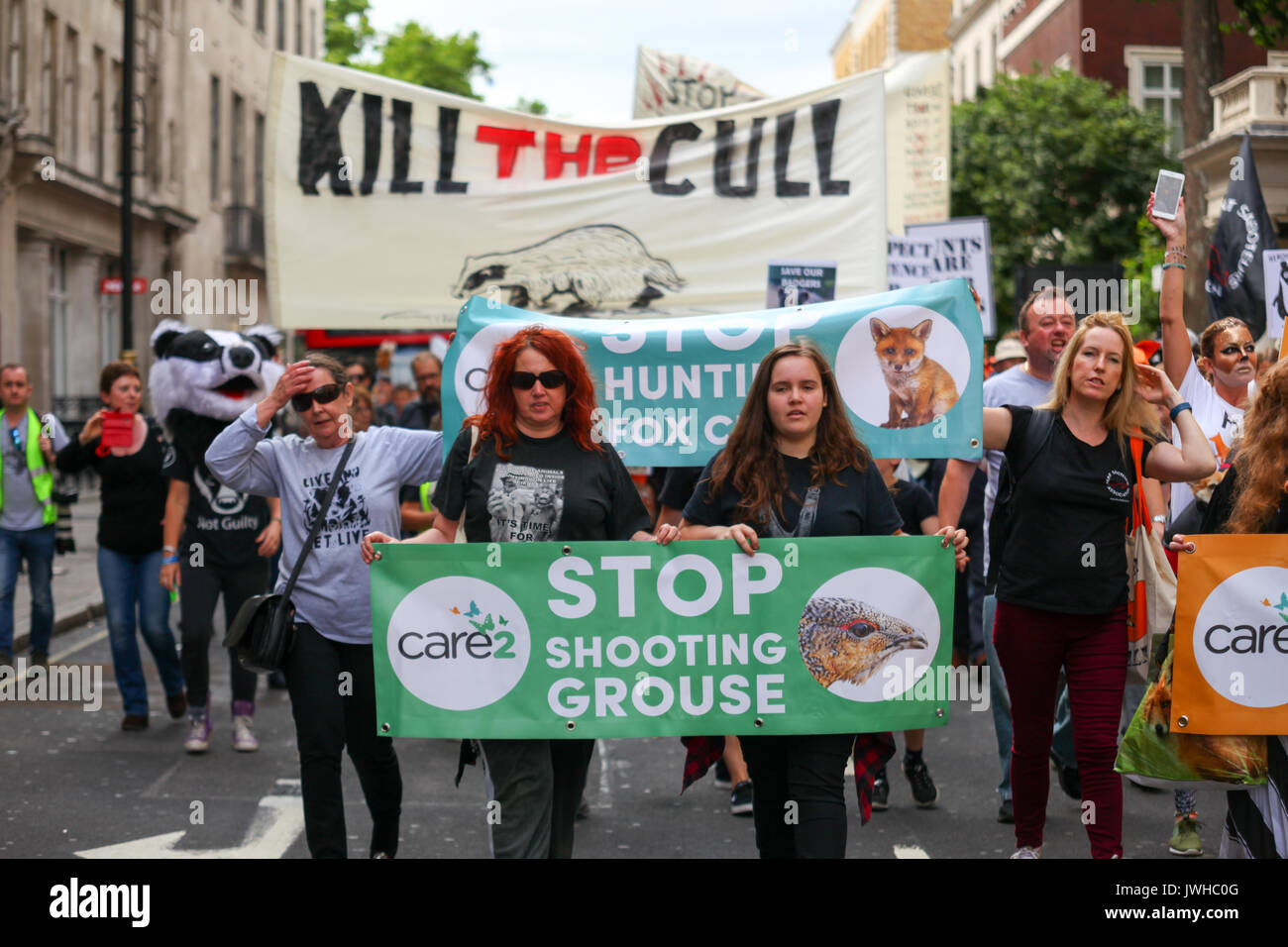 London, UK. 12th Aug, 2017. The Badger Trust, the Make Hunting History coalition and Care2 hold a joint protest march to Downing Street to call on the Conservative government to bring an immediate end to the badger cull policy and to strengthen rather than seek to repeal the Hunting Act. Penelope Barritt/Alamy Live News Stock Photo