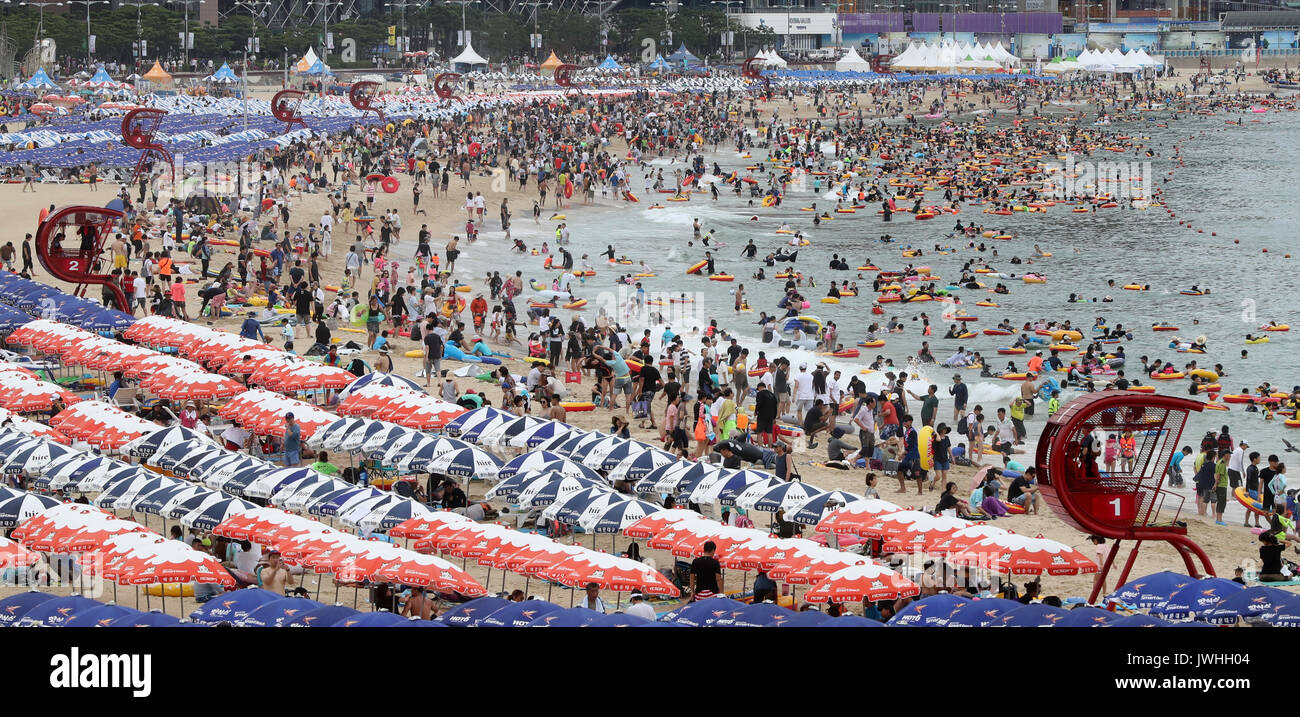 Busan, South Korea. 13th August, 2017. Packed beach Haeundae Beach in ...